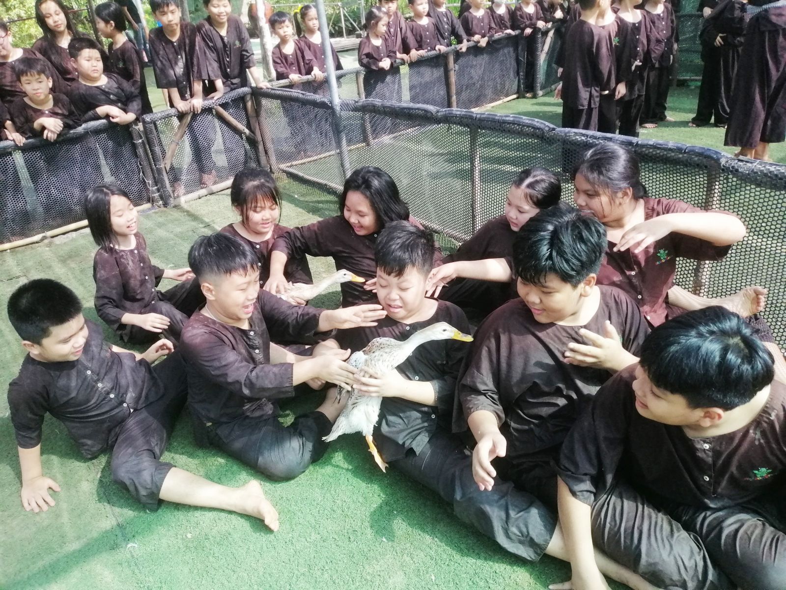 Tổ chức học tập ngoại khóa cho học sinh khối Tiểu học