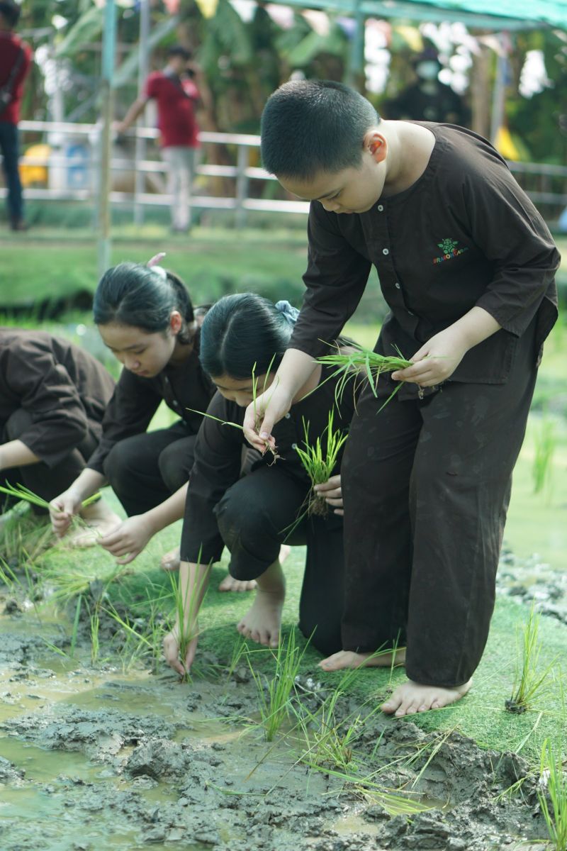 Tổ chức học tập ngoại khóa cho học sinh khối Tiểu học