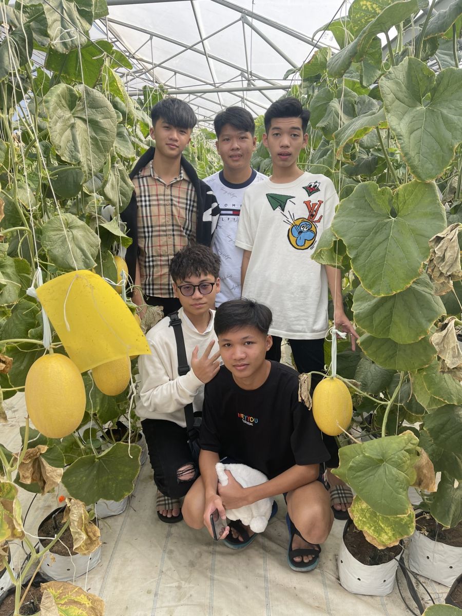 Các em học sinh tham quan Bình An Farm