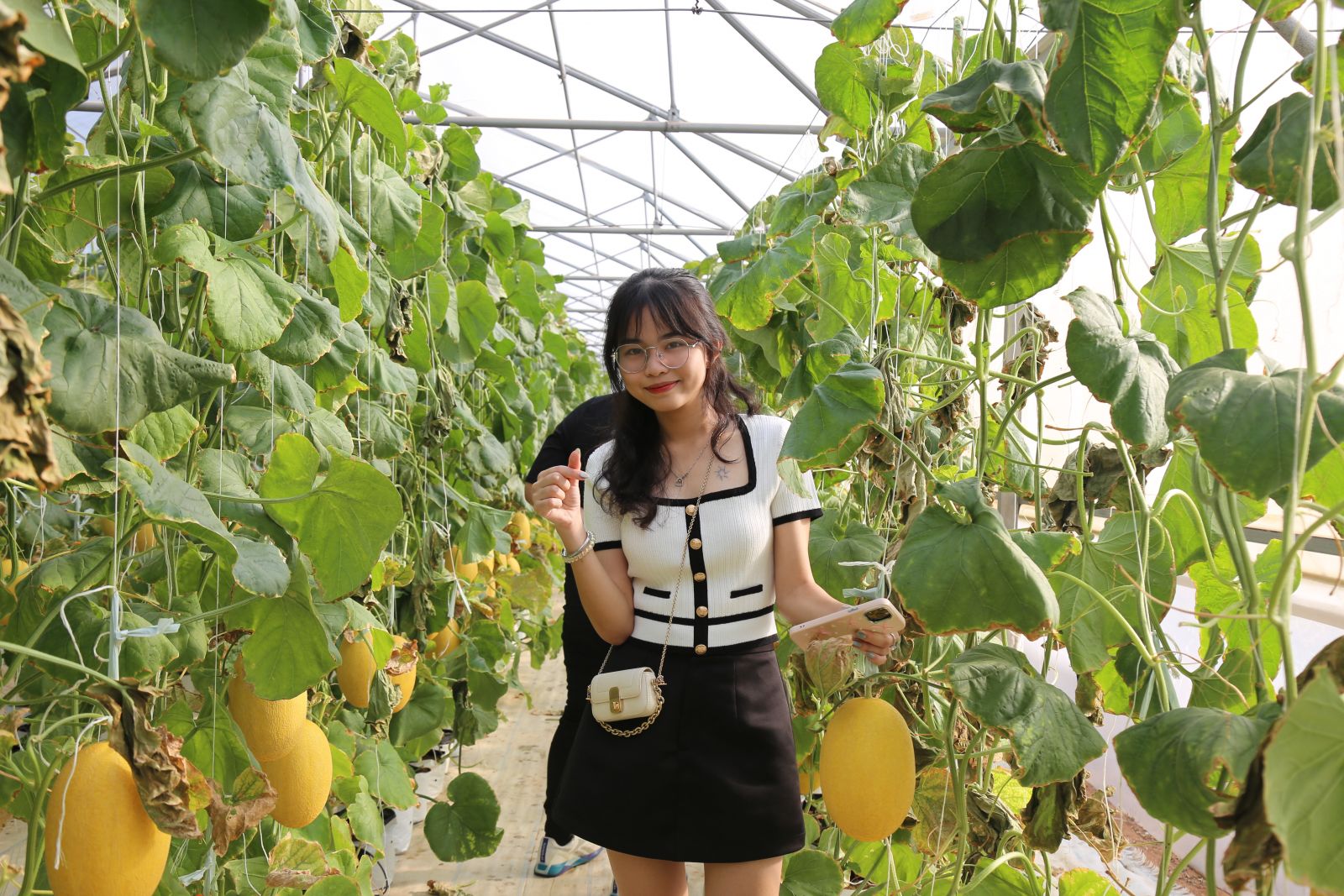 Học sinh tham quan và check in vườn Dưa Lưới tại Bình An Farm