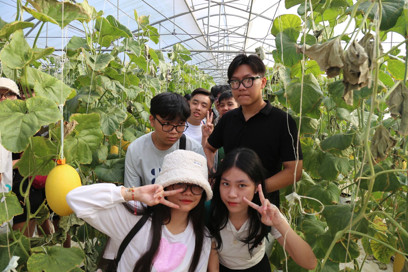Học sinh tham quan và check in vườn Dưa Lưới tại Bình An Farm