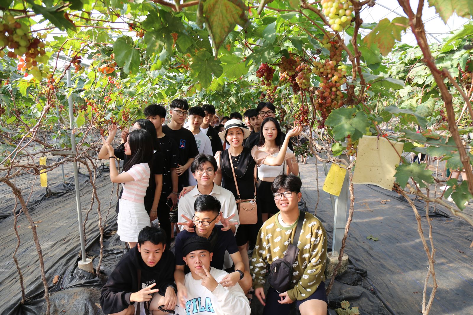 Học sinh tham quan và check in vườn Nho tại Bình An Farm