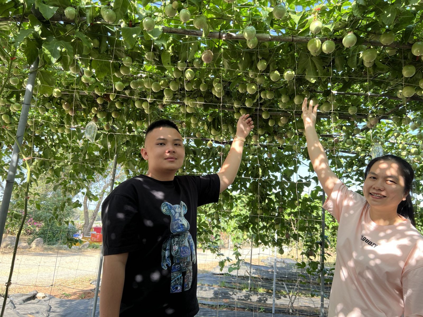 Học sinh và Giáo viên tham quan và check in vườn trái cây tại Bình An Farm