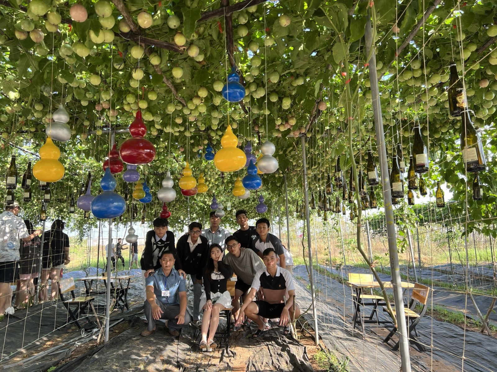 Học sinh và Giáo viên tham quan và check in vườn trái cây tại Bình An Farm