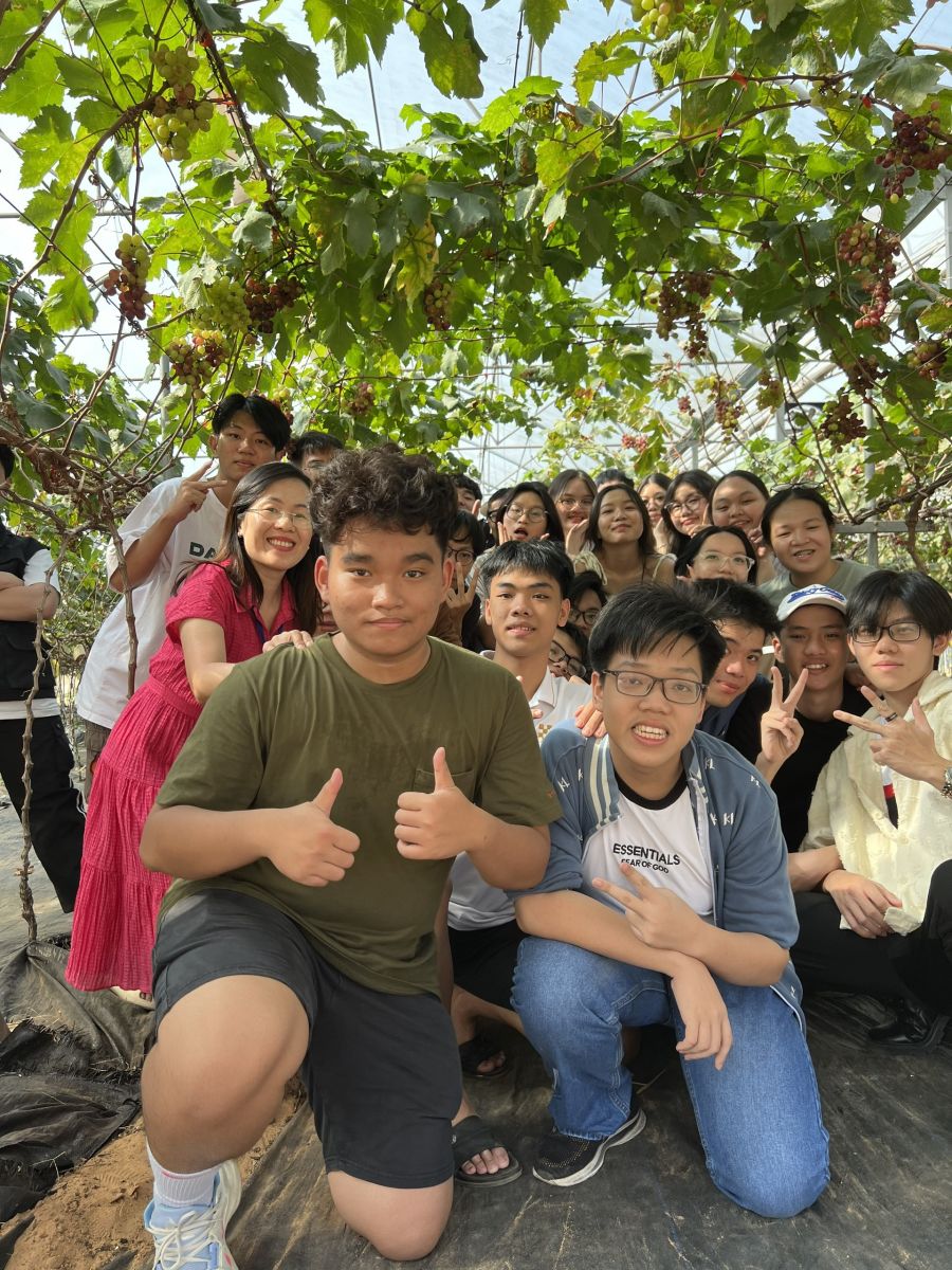 Học sinh tham quan và check in vườn Nho tại Bình An Farm