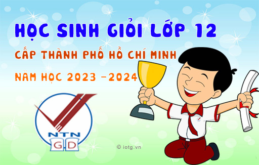 Kết quả kỳ thi học sinh giỏi cấp thành phố Hồ Chí Minh, năm học 2023 - 2024